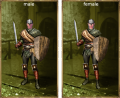 Leather Armor set.png