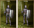 Chainmail Armor set.png